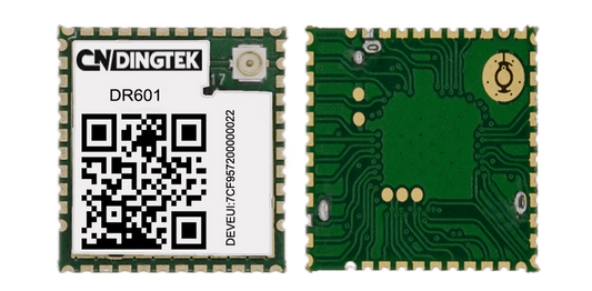 GEDR601 LoRaWAN® Wireless Module